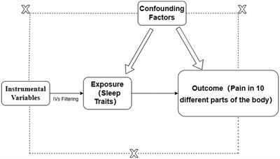 The causal relationship between sleep characteristics and multi-site pain perception: a two-sample Mendelian randomization study